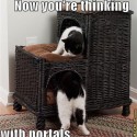 Portal caaats X3