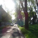 peaceful street