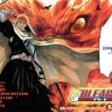 Bleach-18-02-02-03.jpg
Bleach-18-02-02-03