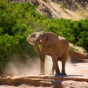 HOANIB RIVIER - filmár a fotograf Miro Pokorný Vás pozýva na Foto Safari do najfotogenickejšej krajiny sveta - viac info na: http://www.offroadtours.sk/fotosafari.html (Foto: Julo Nagy Namíbia/2008)