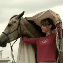 natural horsemanship - práca zo zeme