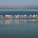 WALVIS BAY - filmár a fotograf Miro Pokorný Vás pozýva na Foto Safari do najfotogenickejšej krajiny sveta - viac info na: http://www.offroadtours.sk/fotosafari.html (Foto: Miloš Bubán Namíbia/2004)