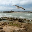 essaouira, maroko