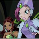 winx - tecna aisha