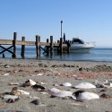 WALVIS BAY - filmár a fotograf Miro Pokorný Vás pozýva na Foto Safari do najfotogenickejšej krajiny sveta - viac info na: http://www.offroadtours.sk/fotosafari.html (Foto: Miloš Bubán Namíbia/2004)