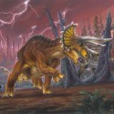 triceratops

..pekne hm..huste you to sa mi paci, take s ami paci lol imho lol you...     ...,,...