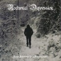 noctrunal depression - four seasons to a depression 