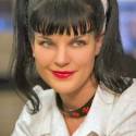 Pauley Perrette