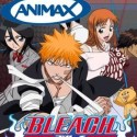 bleach_animax