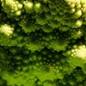 romanesco 
fractalesco
