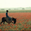 Near Kairouan, Tunisia, 1979