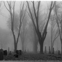 Only The Dead In The Mist...