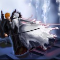 Ichigo_VS_Hichigo_by_Evil_Siren.jpg
Ichigo_VS_Hichigo_by_Evil_Siren