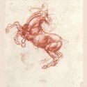 study of horse 2