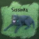 Sissinka