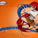 Animax 4