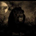 (My)Black Lion