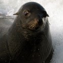 WALVIS BAY - filmár a fotograf Miro Pokorný Vás pozýva na Foto Safari do najfotogenickejšej krajiny sveta - viac info na: http://www.offroadtours.sk/fotosafari.html (Foto: Miloš Bubán Namíbia/2004)