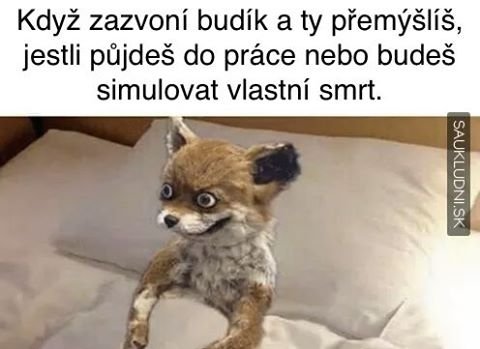 :D evry mónin