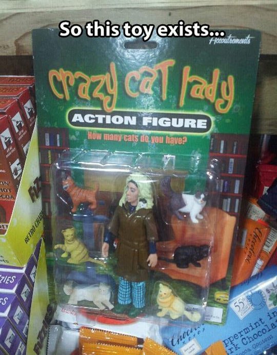 Na Vianoce chcem Crazy Cat Lady!!!