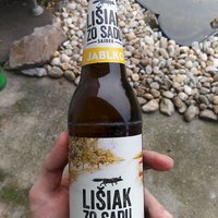 Lišiak z osady :D