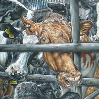 Maľba: Philip McCulloch-Downs - Life Sentence: The hidden faces of dairy