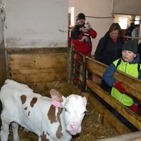 „Je to jako s lidmi. Každá má tady svoje jméno a jinak se chová. My už je známe a víme, co na kterou funguje.“ Říká pan Kubín.