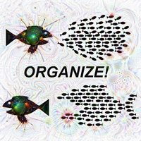 organize