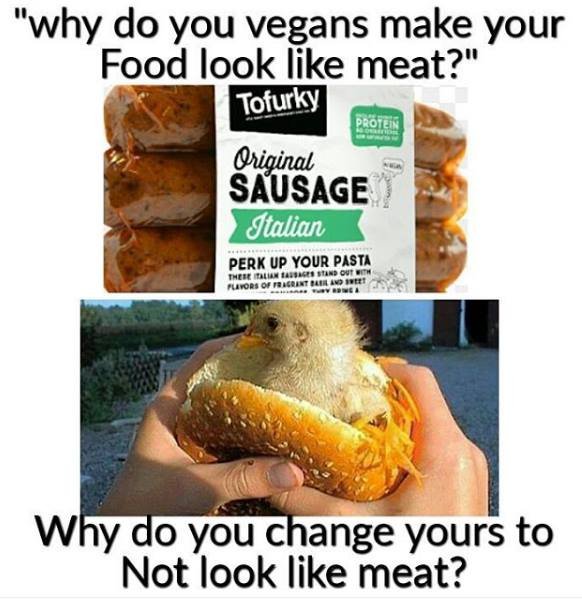 zas tá jebnutá vegánska propaganda hurr durr...
but you gotta admit the question is reasonable