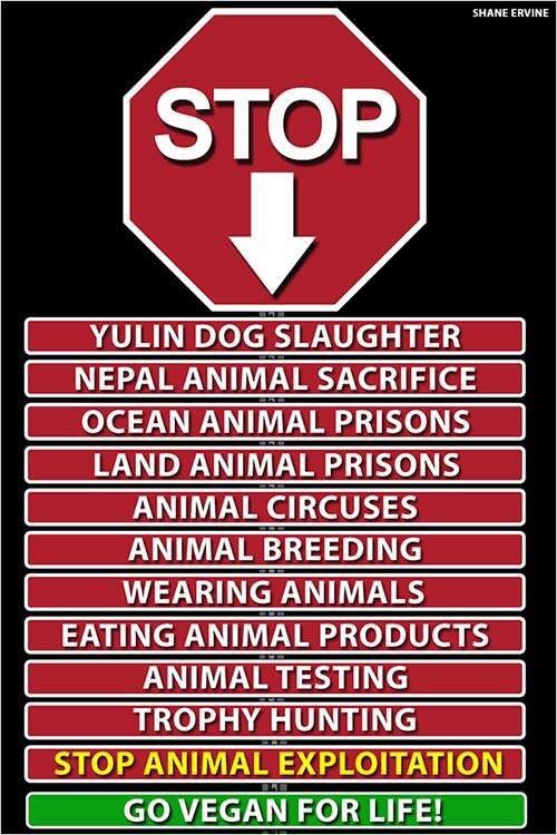 STOP: jatkám psov v Yulin
Obetovaniu psov v Nepále
Väzeniam oceánskych zvierat
Väzeniam suchozemských zvierat
Cirkusom so zvieratami
Chovateľstvu
Noseniu odevov zo zvierat
Jedeniu živočíšnych produktov
Testovaniu na zvieratách
Lovu trofejí
Stop vykorisťov