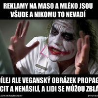 Vždy sa divím tomu shitstormu a spŕške ad hominem útokov. #chaoticevil #joker 