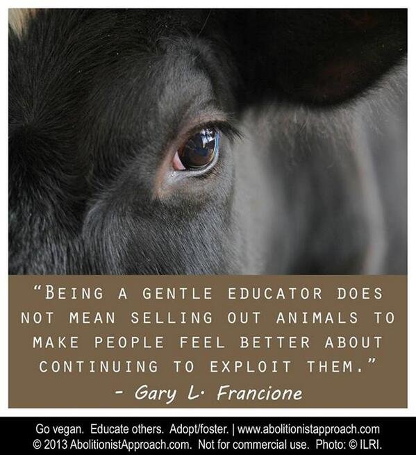Byť miernym(i) vzdelávateľom/mi neznamená zapredať zvieratá, aby sa ľudia cítili lepšie, pokračujúc v ich vykorisťovaní. #nowelfarismzone #govegan