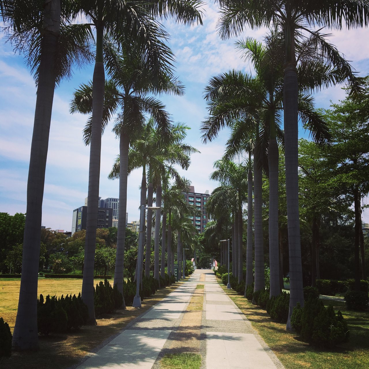 Taky obycajny Taiwansky park