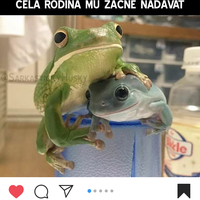 *ked vcera Gucik znicil peliesok a tataj sa na neho nahneval