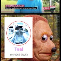 @Teal -ko -san