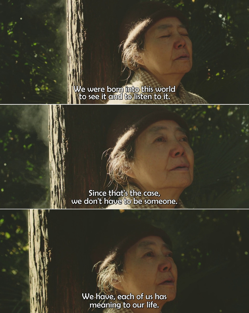 Sweet Bean (An, 2015) dir. Naomi Kawase