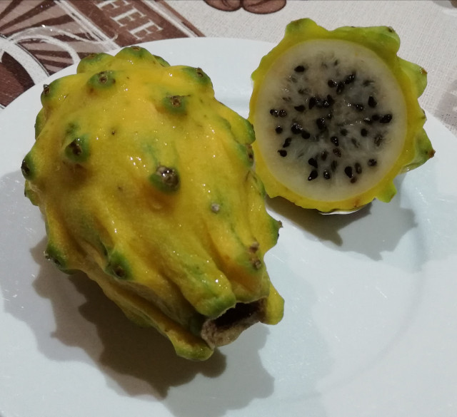 Dnešná exotická večera - žltá pitahaya (dračie ovocie). Červená a biela pitahaya sa môžu skryť. Žltá pitahaya je veľmi sladučká a šťavnatá, aj keď menšia. Tá chuť je, akoby ste pomixovali liči, limetku, marakuju a do toho naliali liter medu.