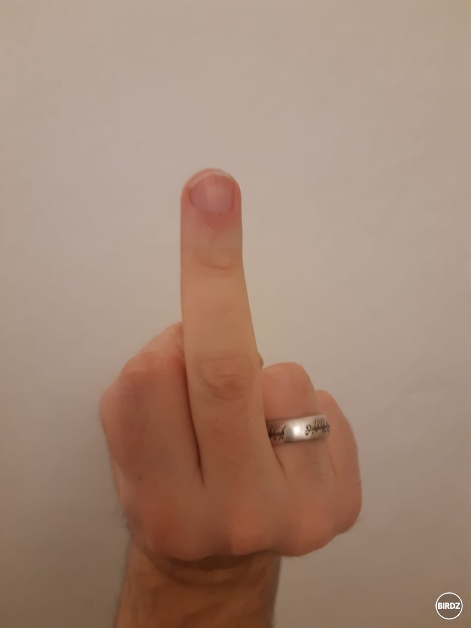 :Middle_finger: