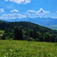 za 2 dni 109 km (v pozadí M.Fatra)