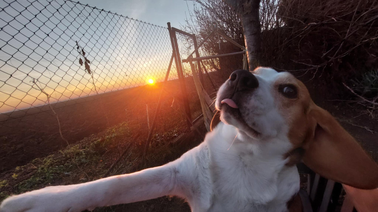 aj tento si robil selfie