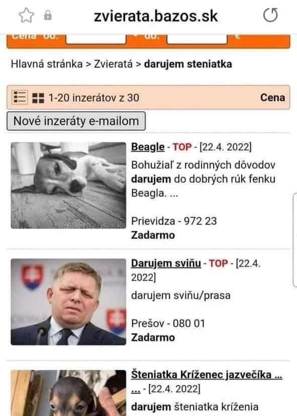 Obrázok bez popisu č.1093169