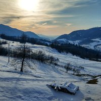 Janošíka som bol pozrieť, ale nebol doma, aj som volal ale nedvíhal 