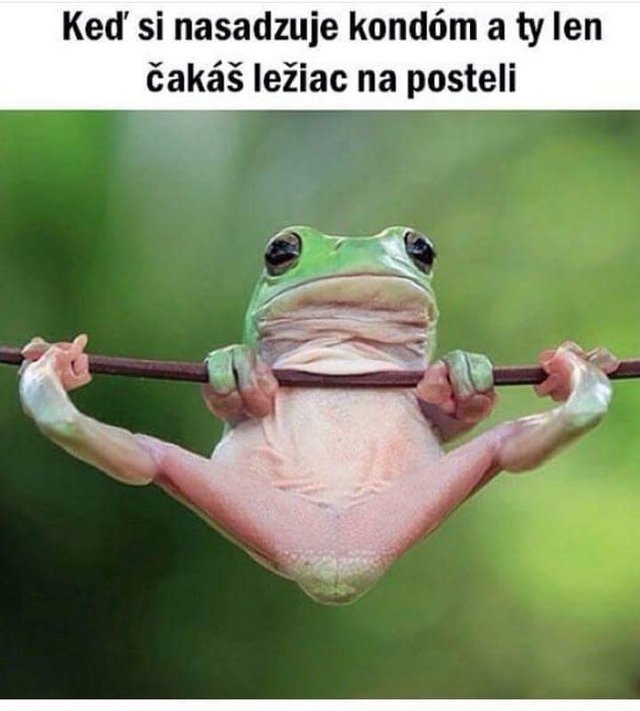 Obrázok bez popisu č.1005838