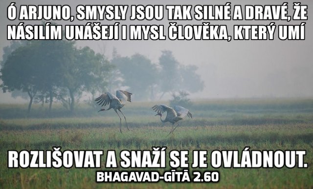 Obrázok bez popisu č.1001807