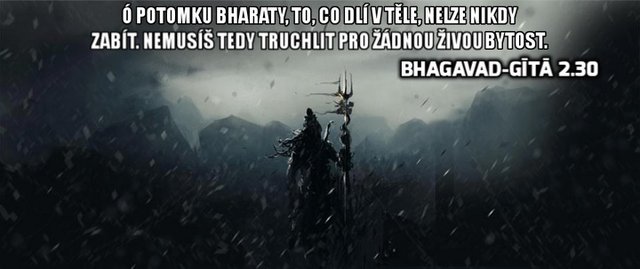 Obrázok bez popisu č.1002332