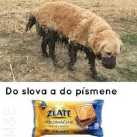 V horkej, alebo mliečnej čokoláde? :D